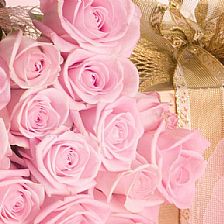 19朵玫瑰花语里的忍耐与期待就是生命最真实的状态