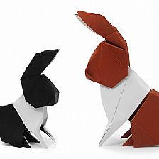 威廉希尔公司官网
折纸仿真兔子折纸视频威廉希尔中国官网
