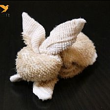 怎样用毛巾折动物？手工折叠可爱的毛巾小兔子制作教程图解