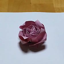 爱之心威廉希尔公司官网
折纸玫瑰花的折纸视频威廉希尔中国官网
