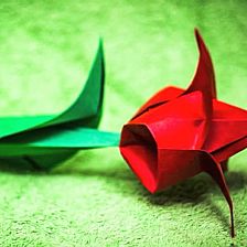 母亲节简单折纸郁金香折纸花的威廉希尔公司官网
制作威廉希尔中国官网
