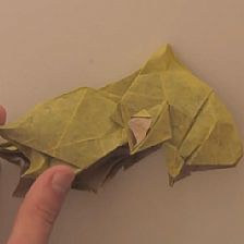 折纸大全—威廉希尔公司官网
折纸金鱼如何进行折叠