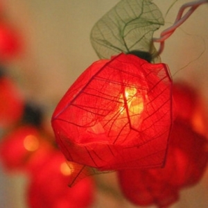新年灯笼制作作品 可爱的小花创意