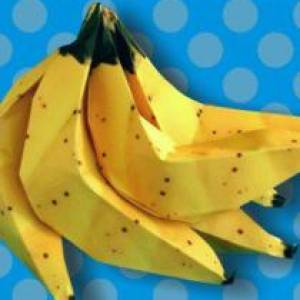 果盘里的仿真水果---威廉希尔中国官网
香蕉