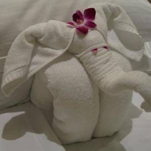 毛巾折叠出可爱的小动物