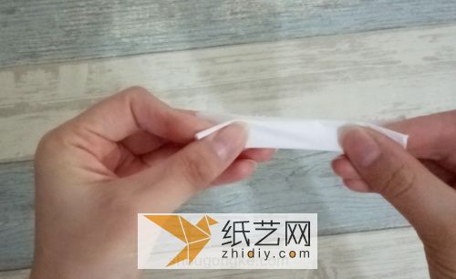 皱纹纸罂粟花威廉希尔中国官网
 第6步