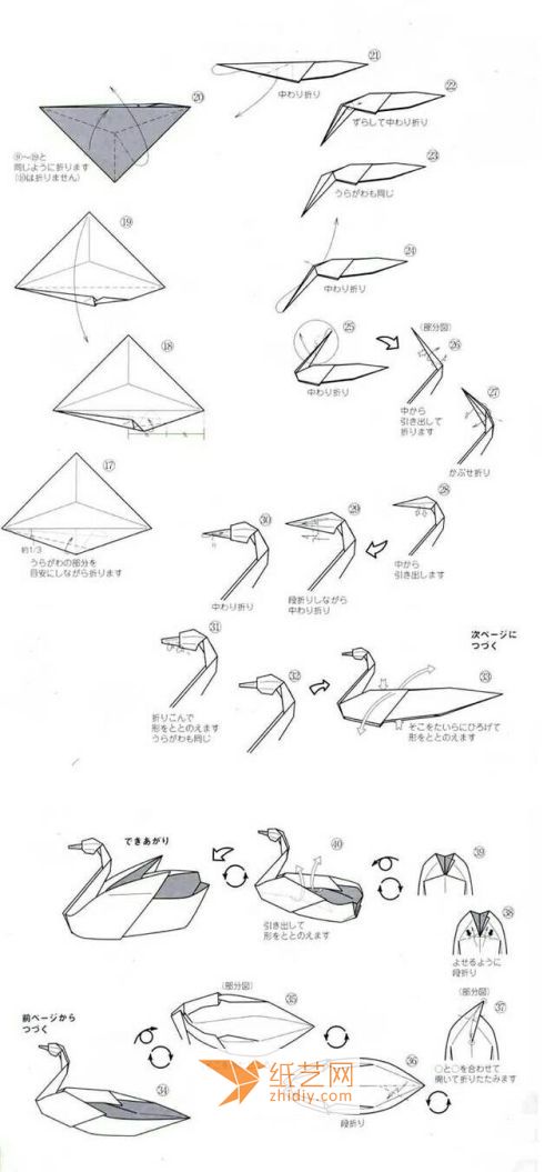 美丽天鹅船 第2步