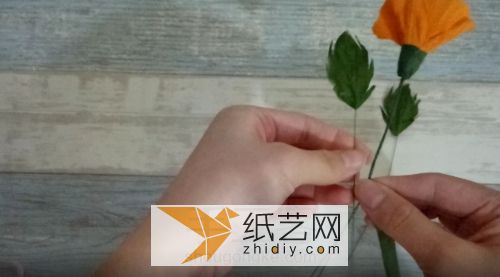 皱纹纸罂粟花威廉希尔中国官网
 第22步