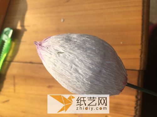 荷花花苞 第7步