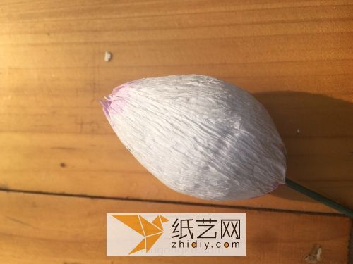 荷花花苞 第6步