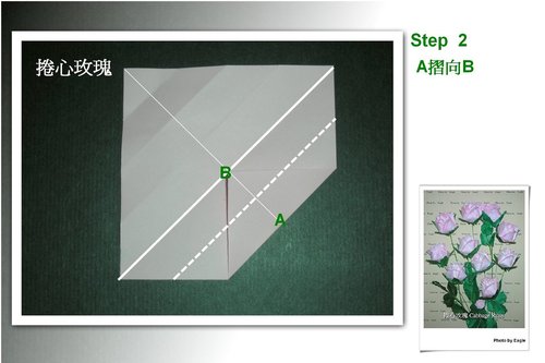 纸玫瑰的折法威廉希尔中国官网
是一个清晰展现各种折纸玫瑰制作方法的图解合集