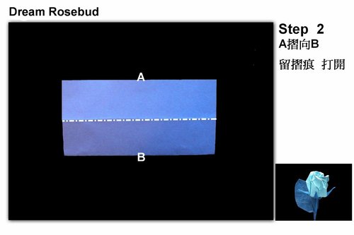 各种常见的纸玫瑰的折法在基本的要求上主要就是折痕的折叠