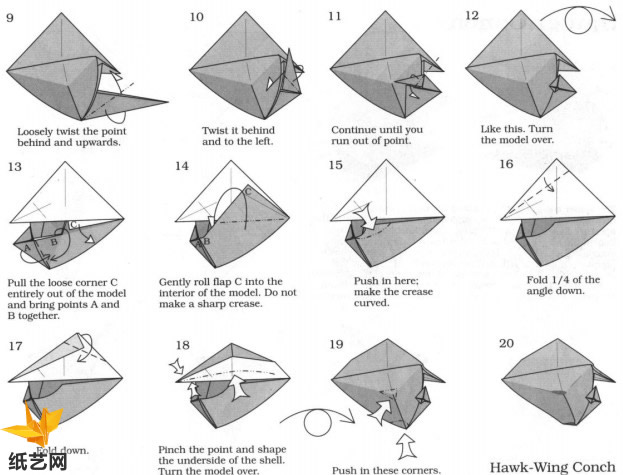 鹰翼凤凰螺的折纸图解威廉希尔中国官网
手把手教你制作海洋动物折纸大全