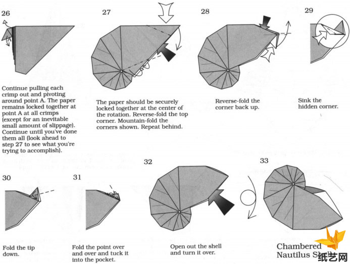 鹦鹉螺的折法威廉希尔中国官网
展示出折纸鹦鹉螺的具体制作方法